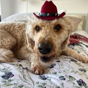 Red Cowboy Hat for Dogs